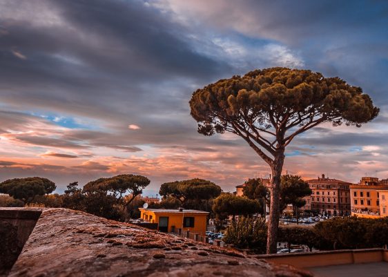 Lunch in the Castelli Romani: how to visit Ariccia or Frascati with public transport, to eat porchetta in a typical fraschetta. How to get to the Castelli Romani, including Nemi, Genzano, Marino, Monte Porzio Catone and Albano Laziale. #castelliromani