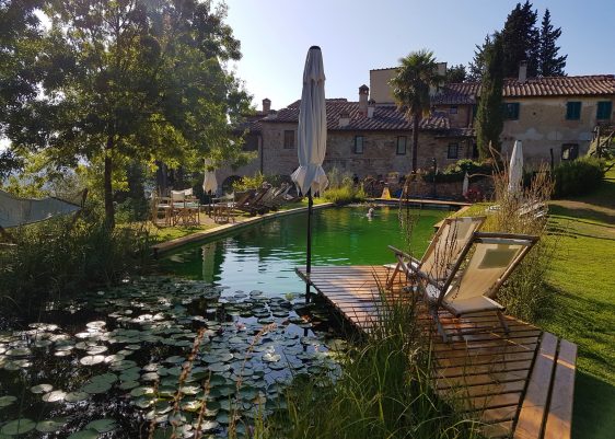 Luxury villas Tuscany: Il Paluffo, an ecotourism holiday for sustainable travel in Italy Private pool, Farm stay Italy, Chianti trip, Chianti wine tour, agriturismo Chianti